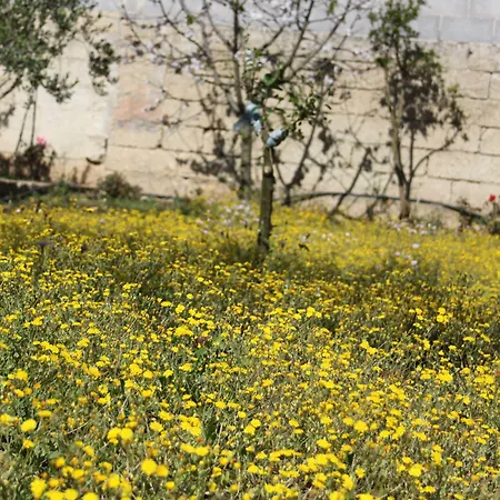 Nocleg ze śniadaniem L'isola Che Non C'e 4*