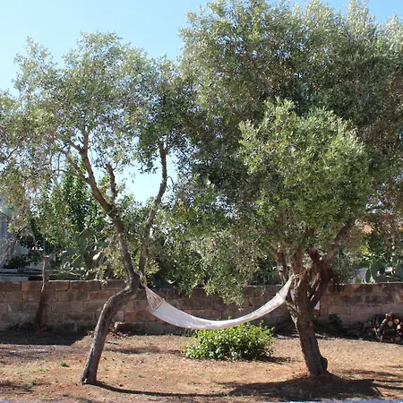 L'isola Che Non C'e 4*