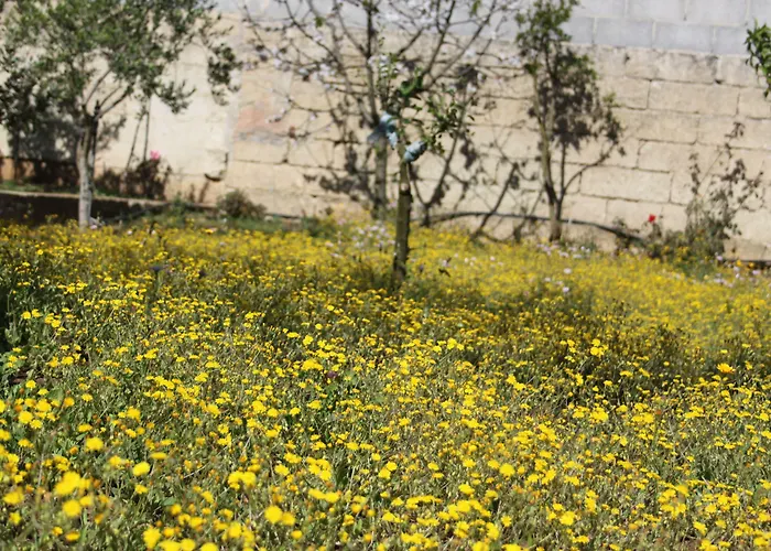 Bed & Breakfast L'isola Che Non C'è 4*