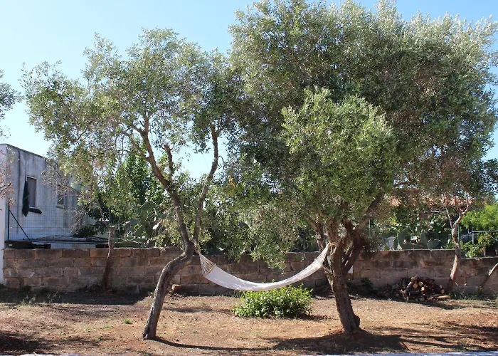 L'isola Che Non C'è 4*